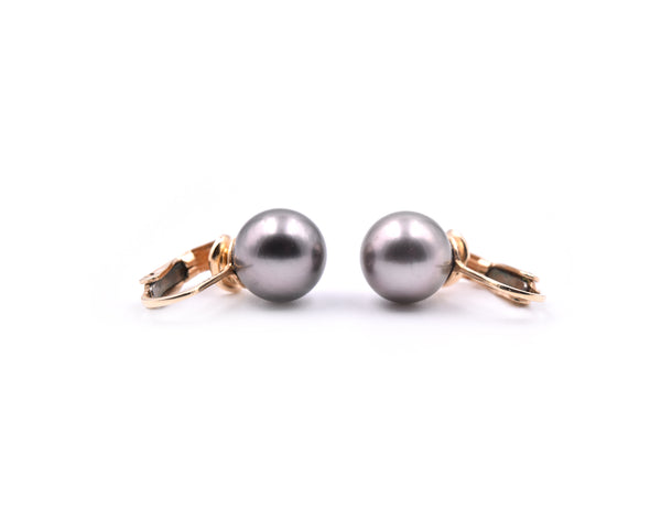 14k Yellow Gold Black Tahitian South Sea Pearl Earrings